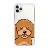 Чохол для iPhone 11 Pro Max з принтом TOY POODLE