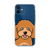 Чохол для iPhone 12 mini з принтом TOY POODLE