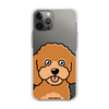 Чохол для iPhone 12 Pro Max з принтом TOY POODLE